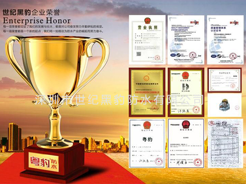 世纪黑豹企业荣誉